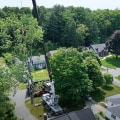 Nature's Architecture: Landscaping Trees And Crane Services In Groveland, MA